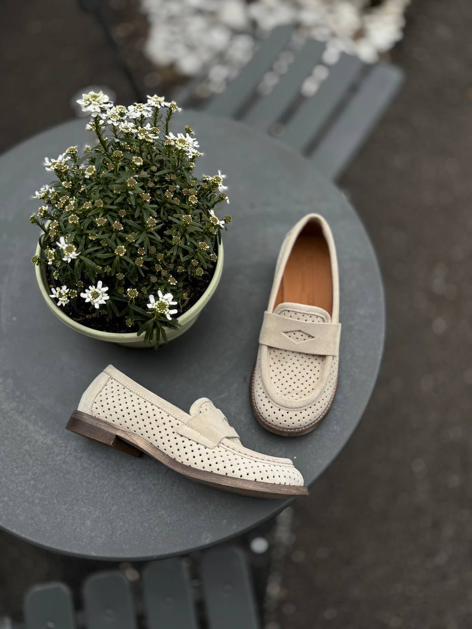 Фото Federica Lancioni