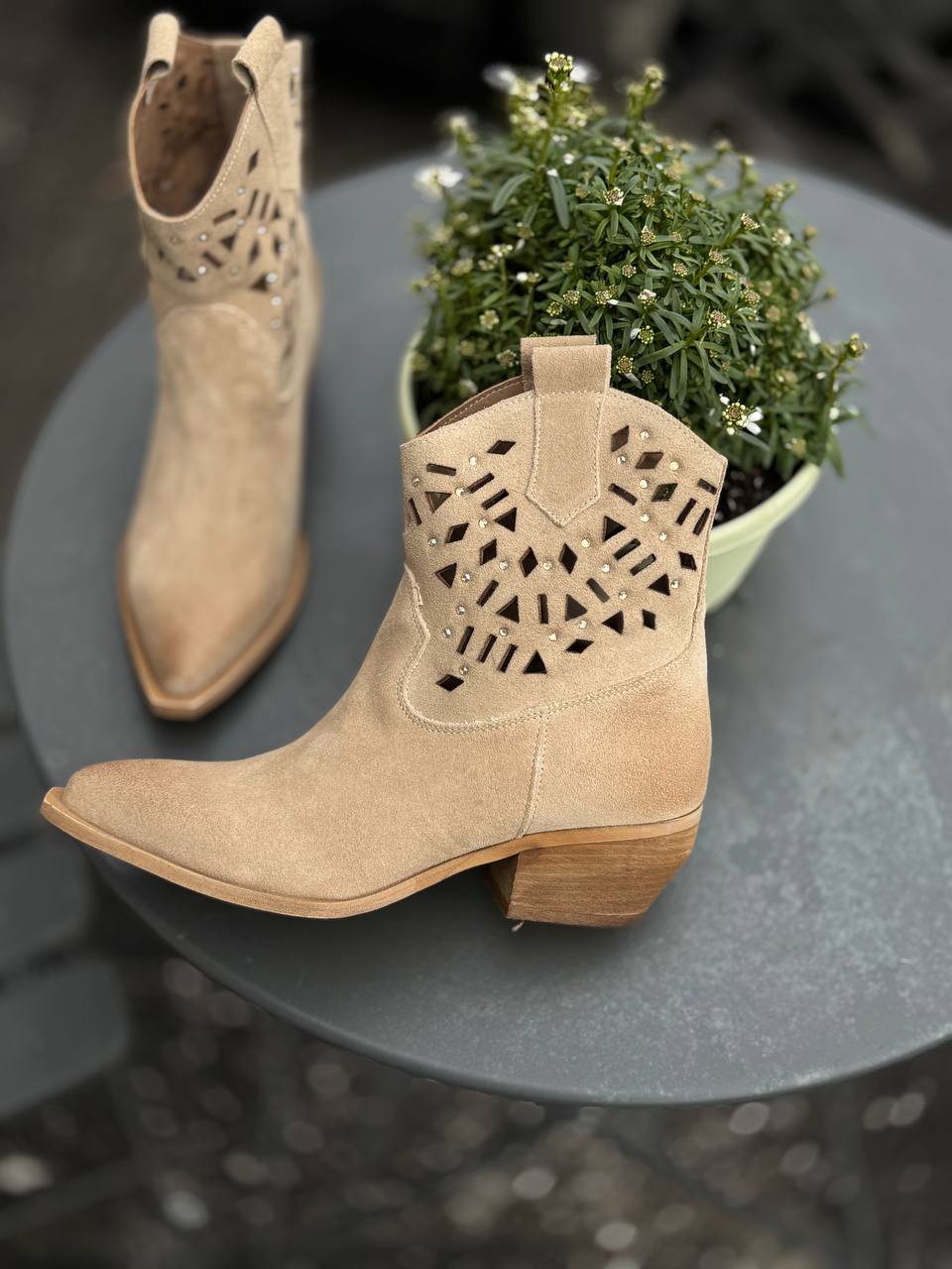 Фото Federica Lancioni