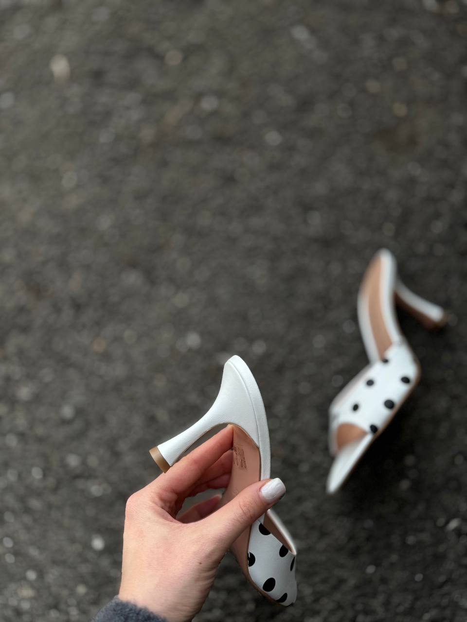 Фото Federica Lancioni