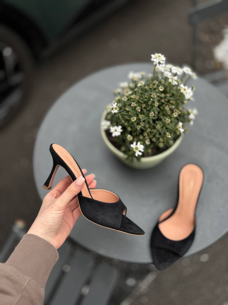 Фото Federica Lancioni