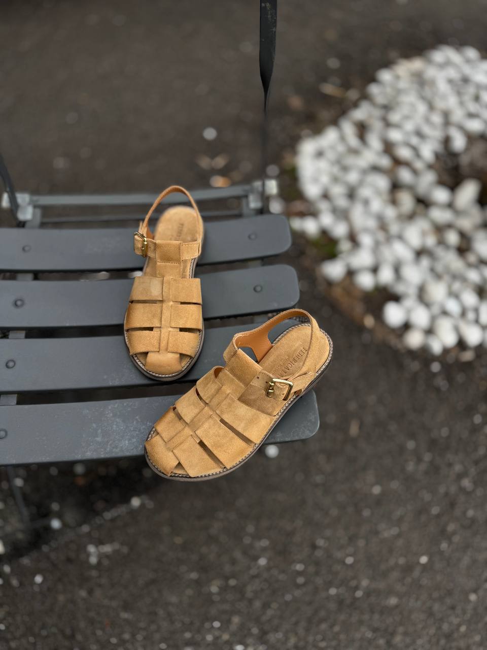 Фото Federica Lancioni