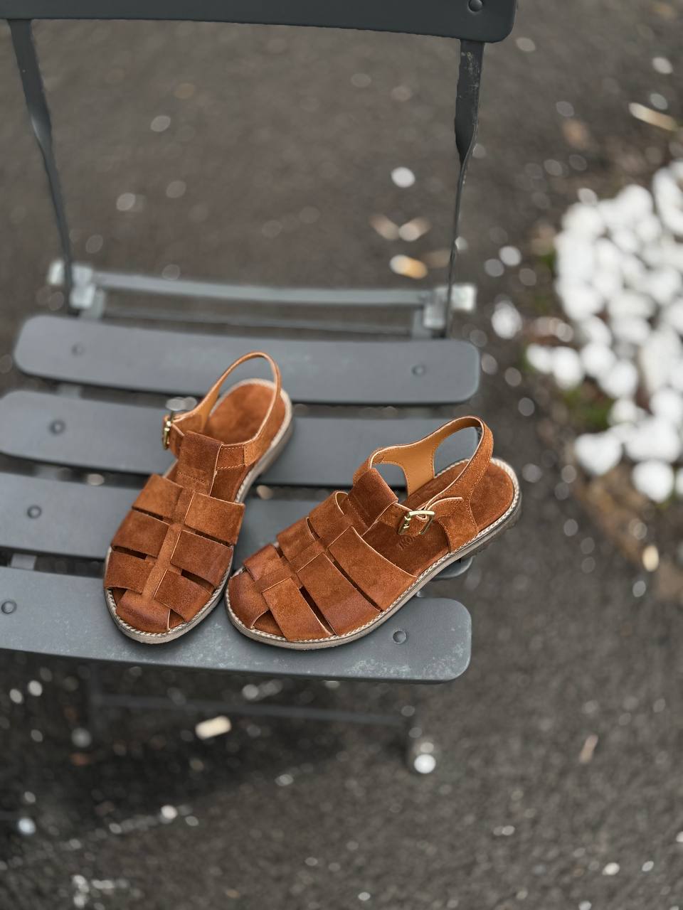 Фото Federica Lancioni