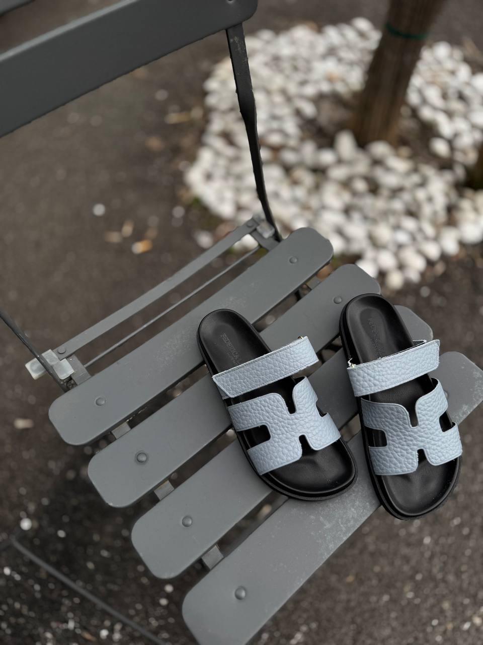 Фото Federica Lancioni