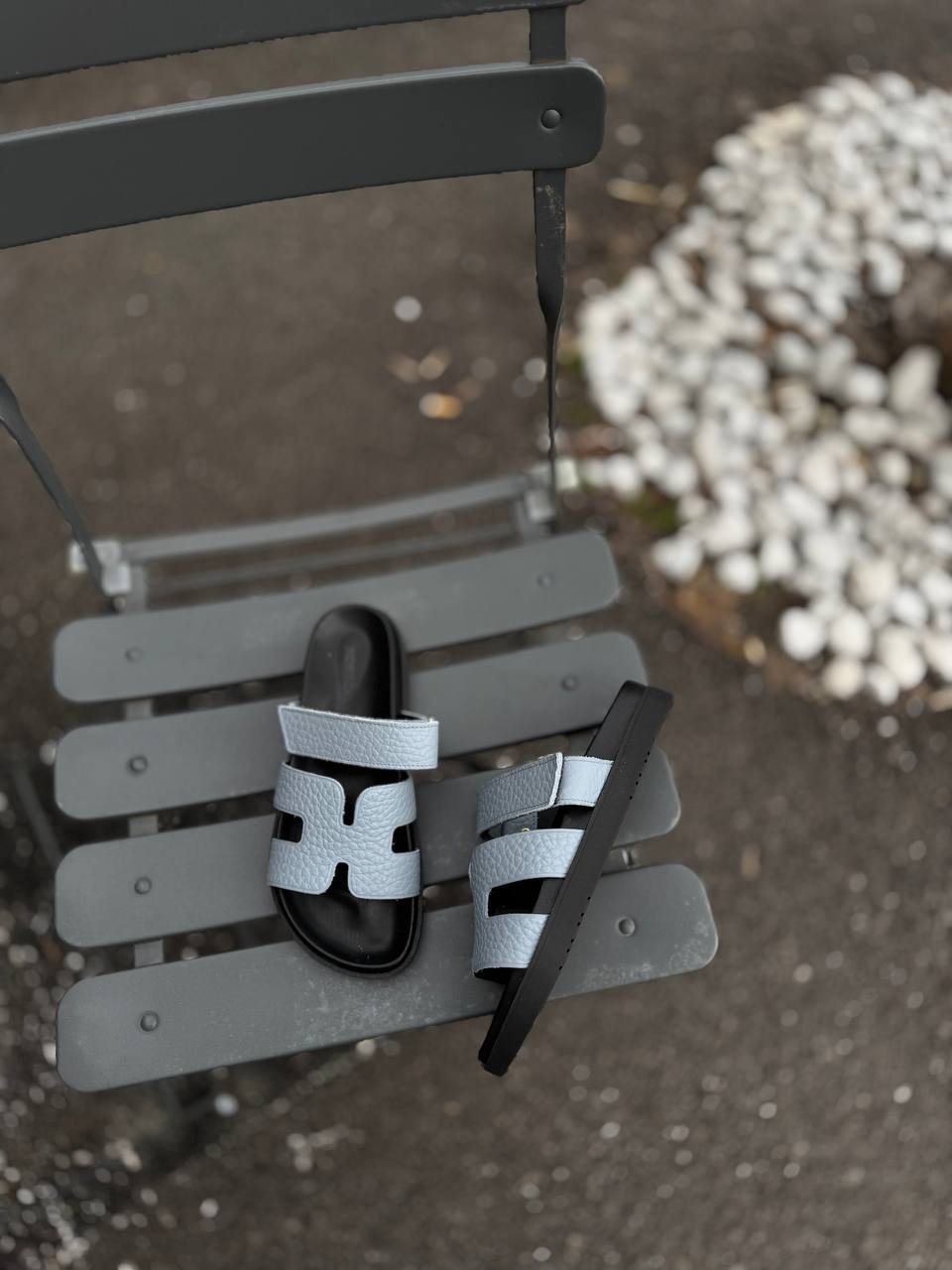 Фото Federica Lancioni