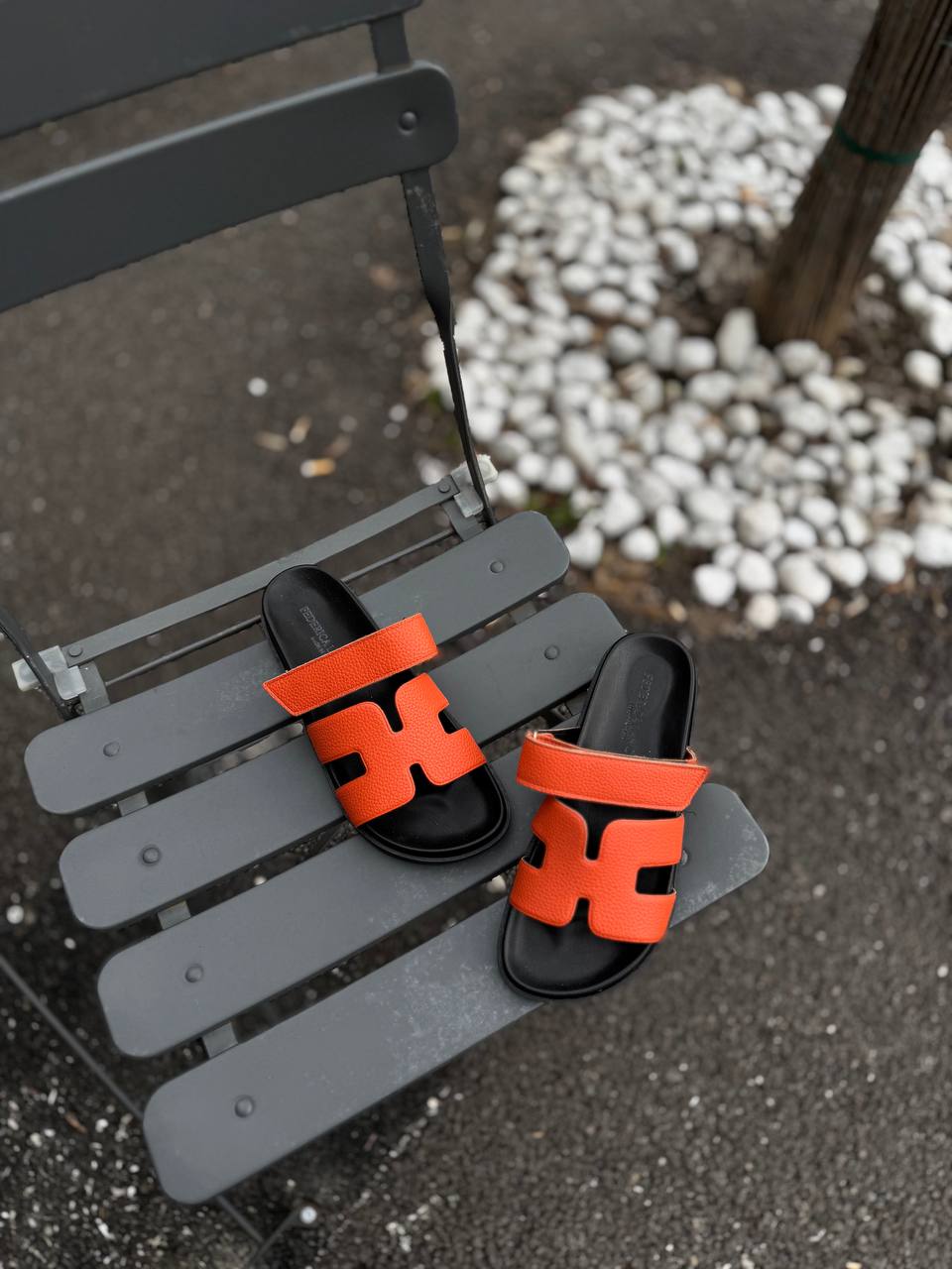 Фото Federica Lancioni