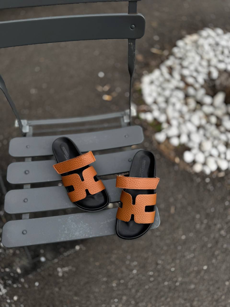 Фото Federica Lancioni