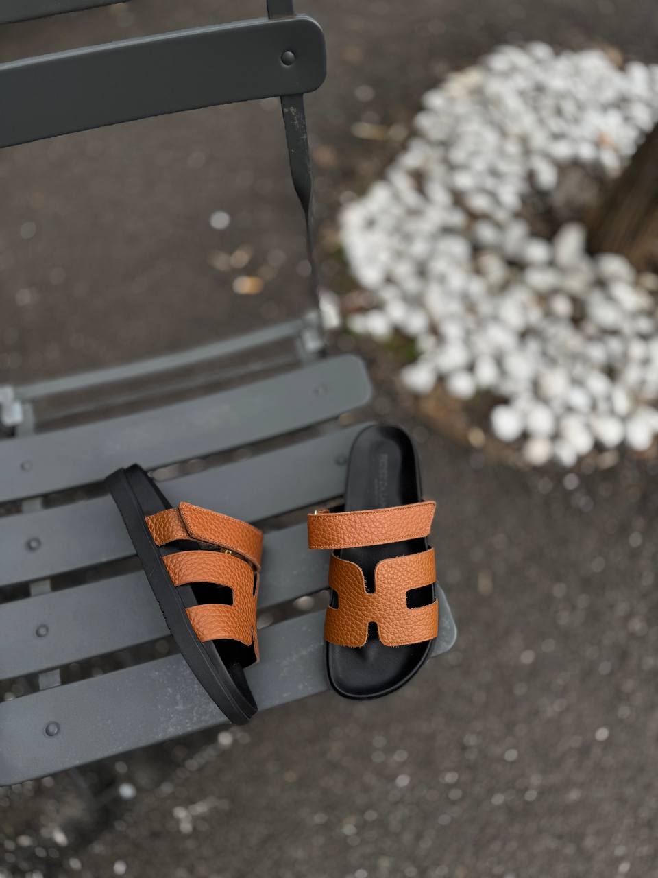 Фото Federica Lancioni