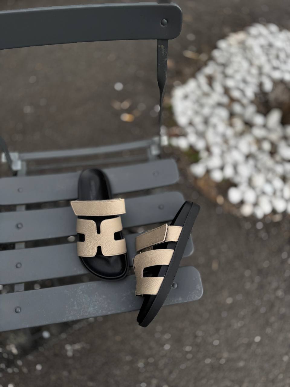 Фото Federica Lancioni