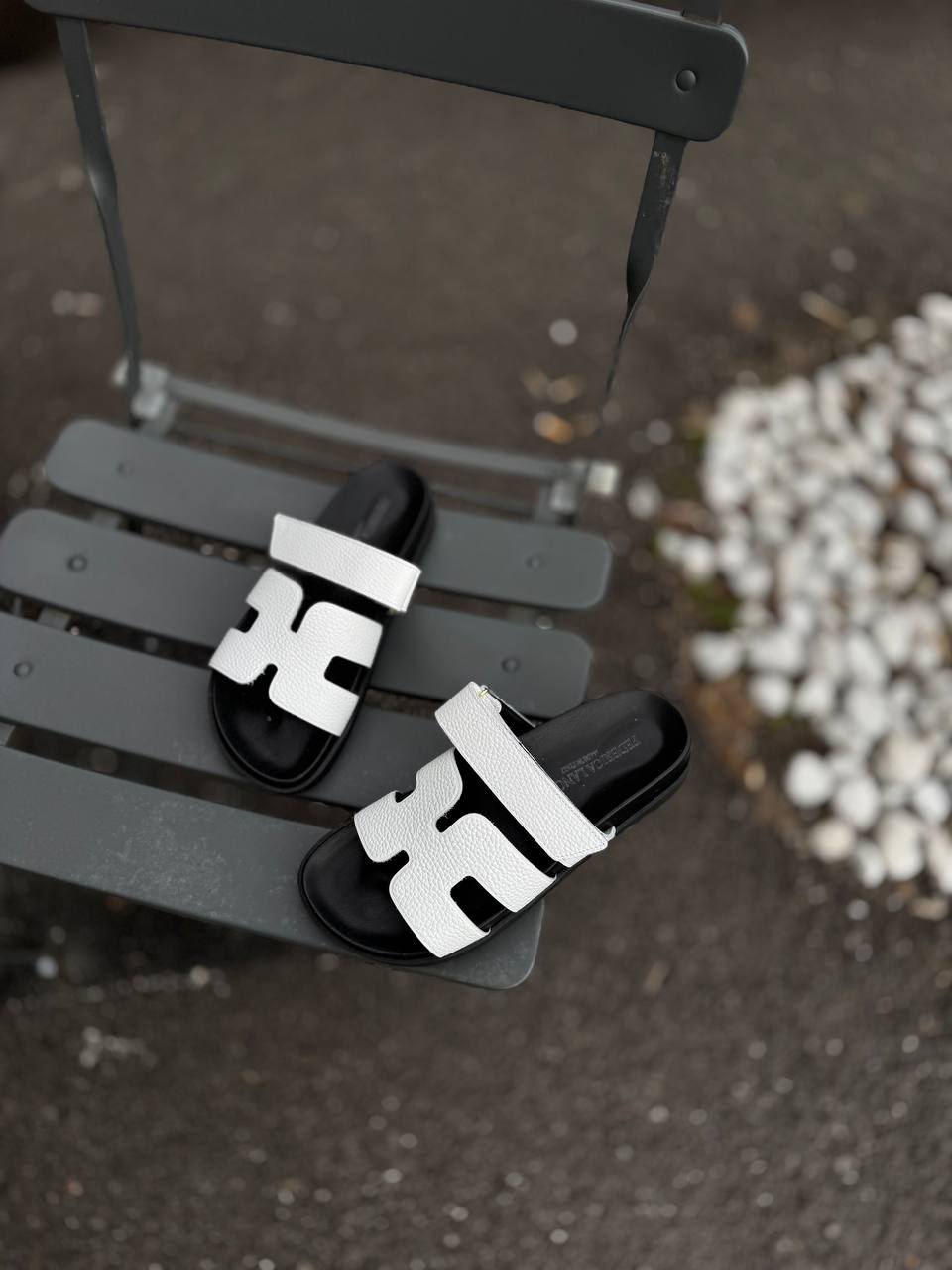 Фото Federica Lancioni