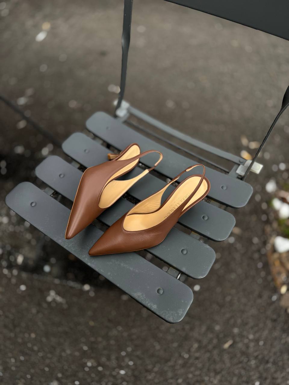 Фото Federica Lancioni