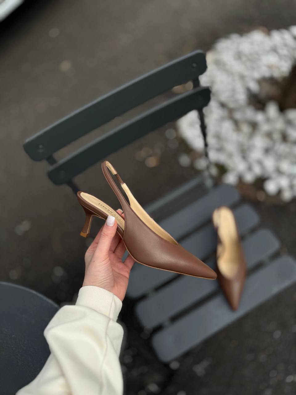 Фото Federica Lancioni