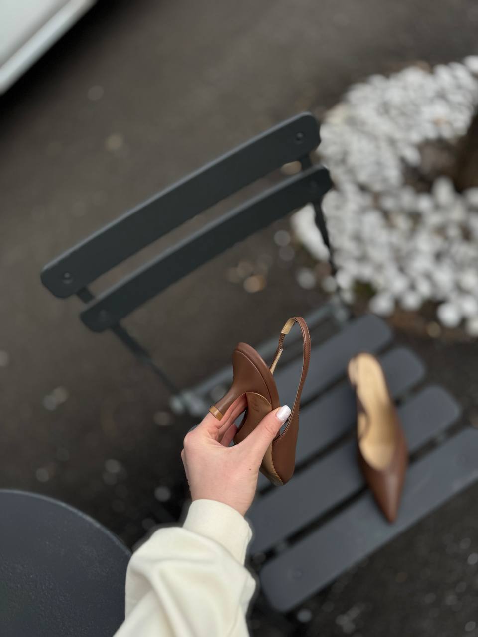 Фото Federica Lancioni