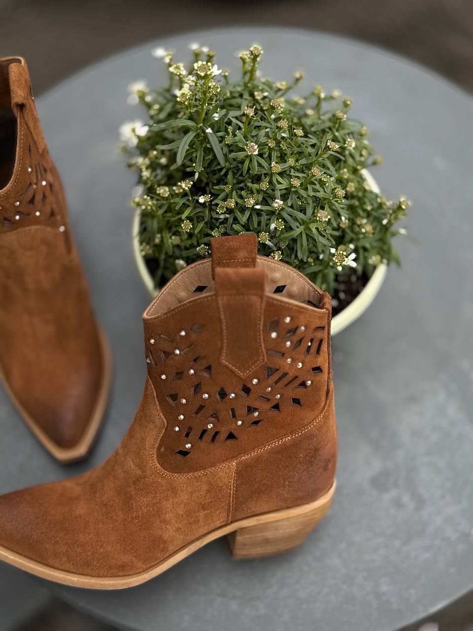 Фото Federica Lancioni