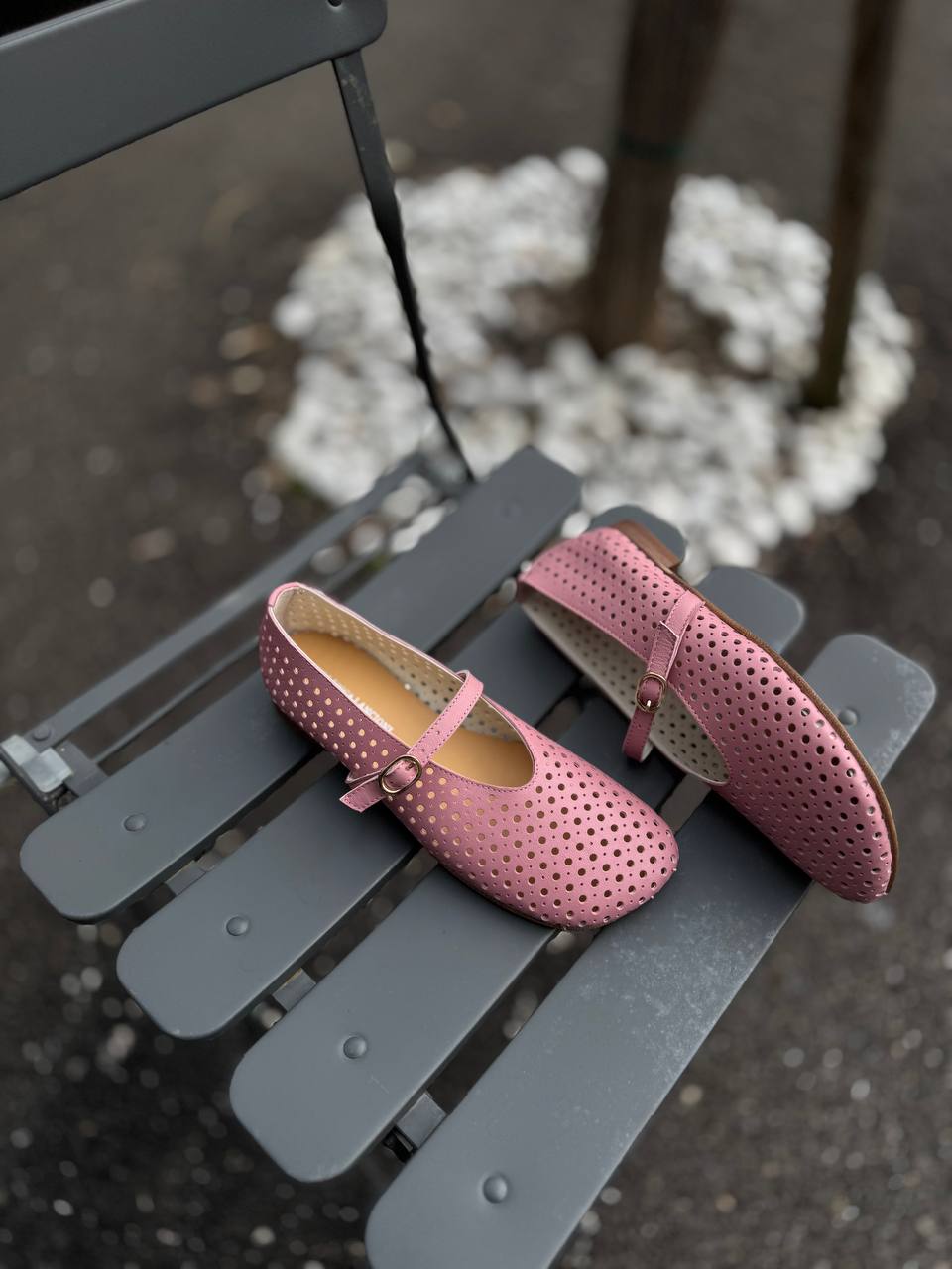 Фото Federica Lancioni