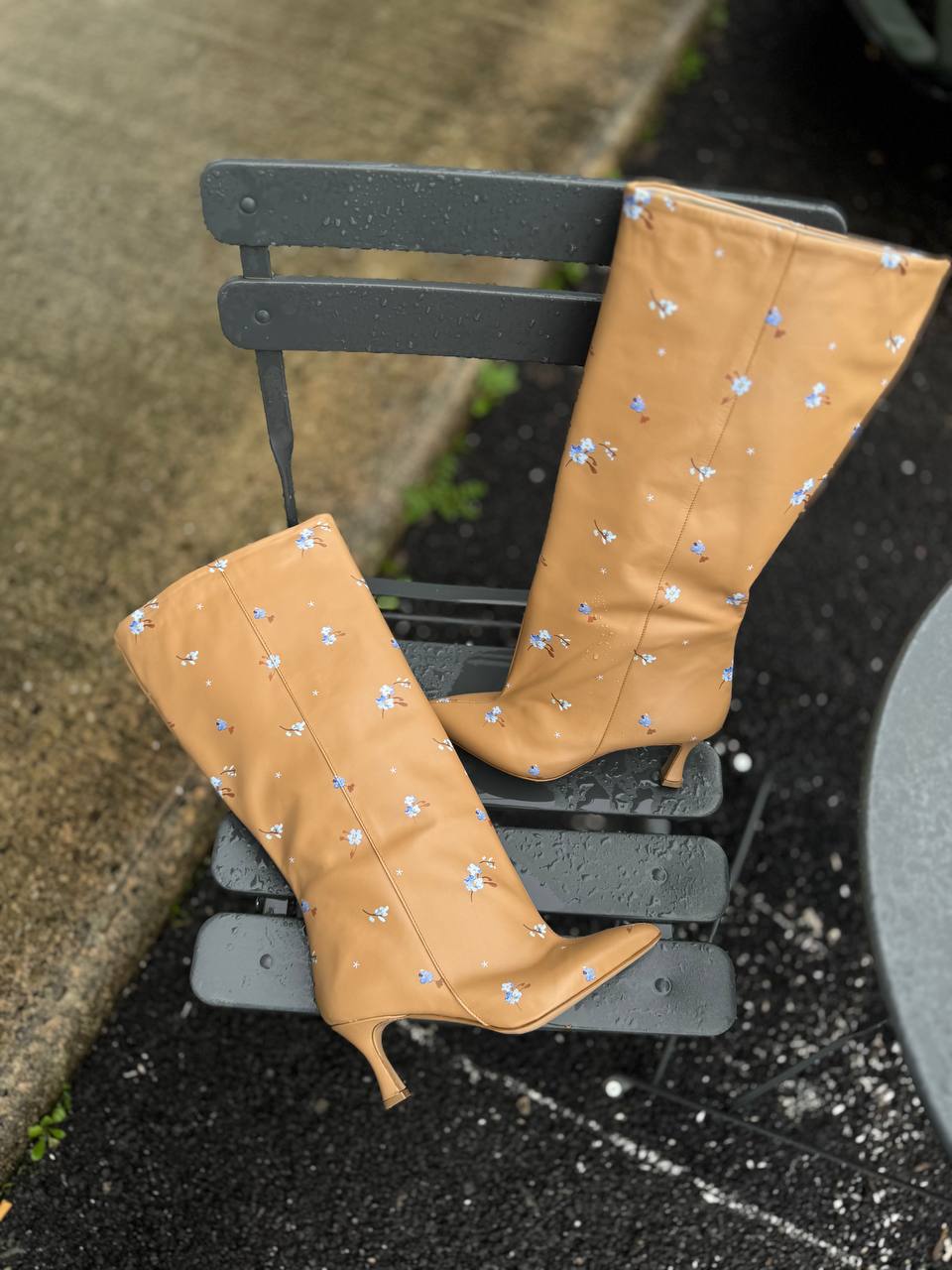 Фото Federica Lancioni