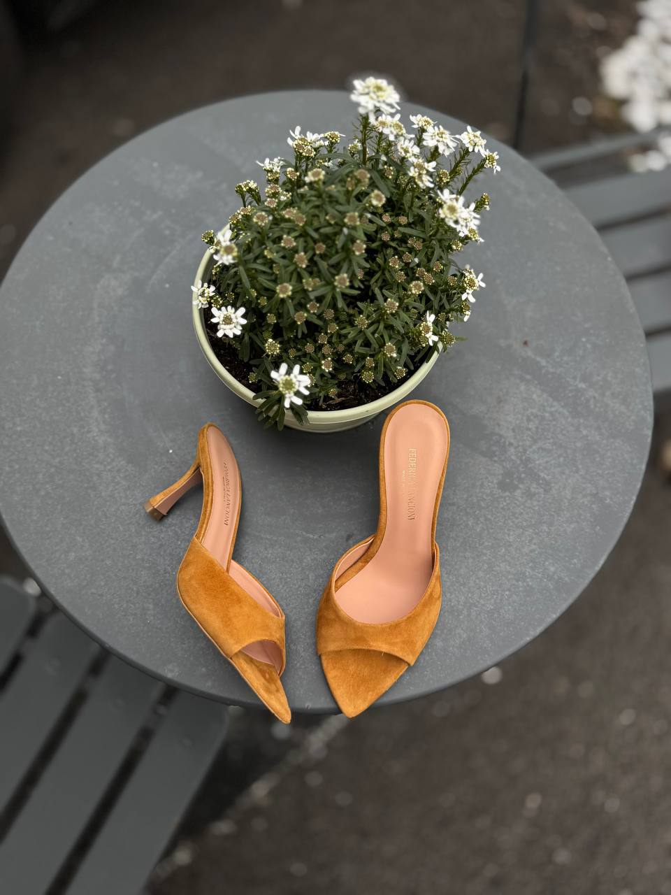 Фото Federica Lancioni