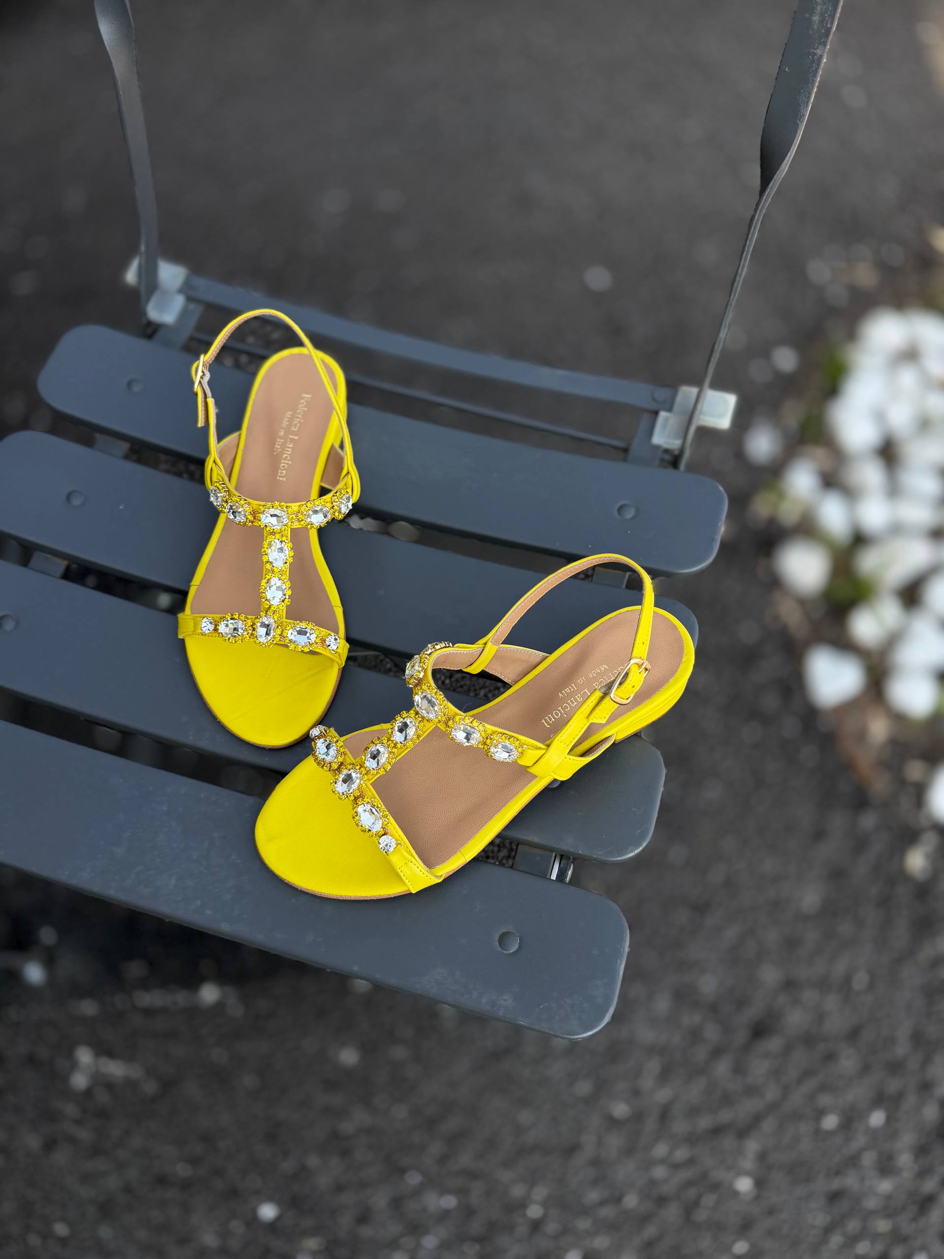 Фото Federica Lancioni