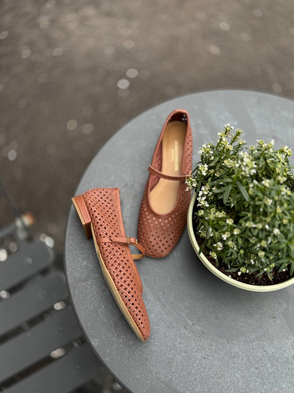 Фото Federica Lancioni