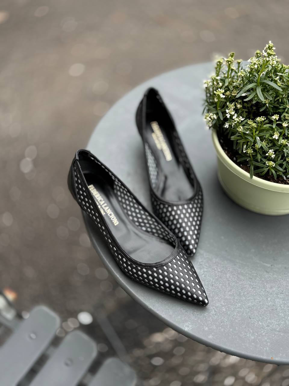 Фото Federica Lancioni