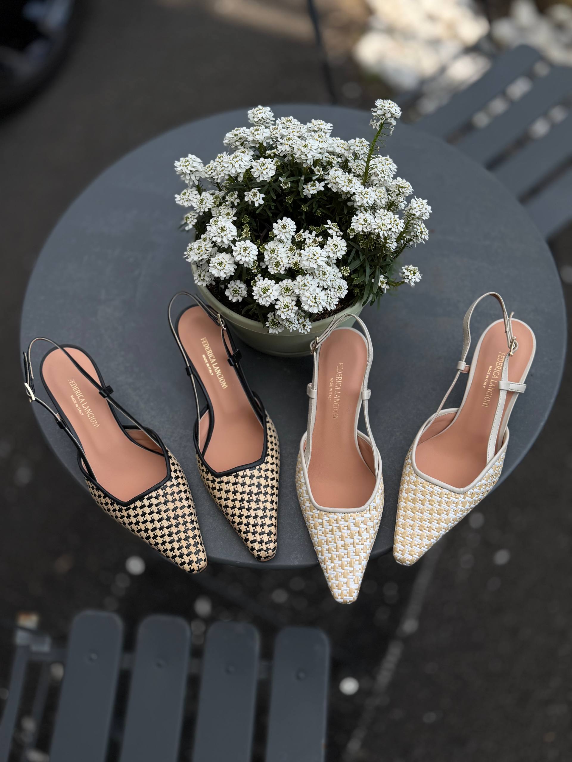 Фото Federica Lancioni