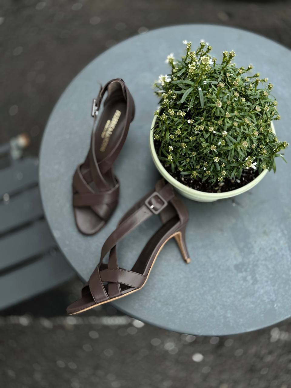 Фото Federica Lancioni