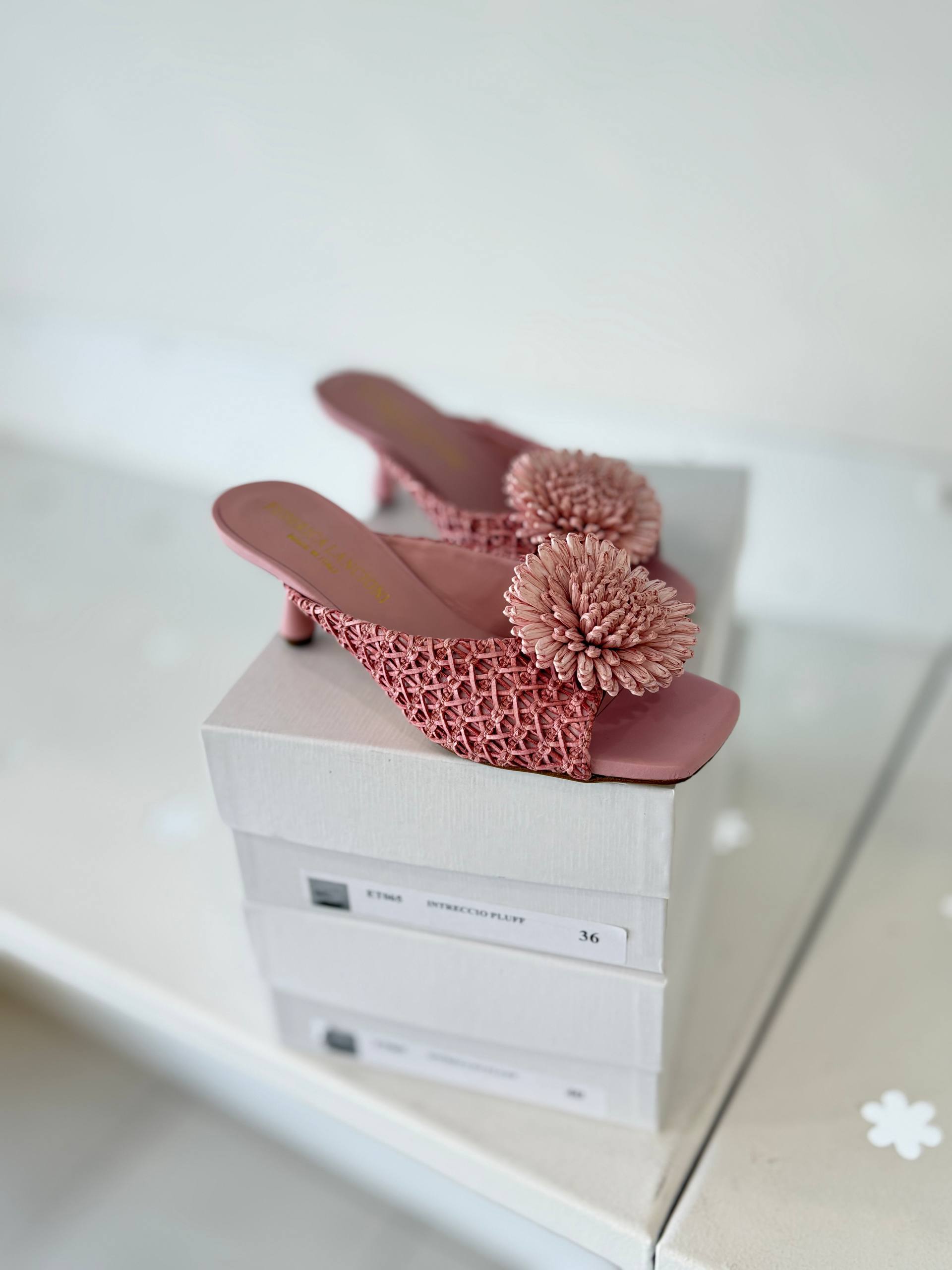 Фото Federica Lancioni