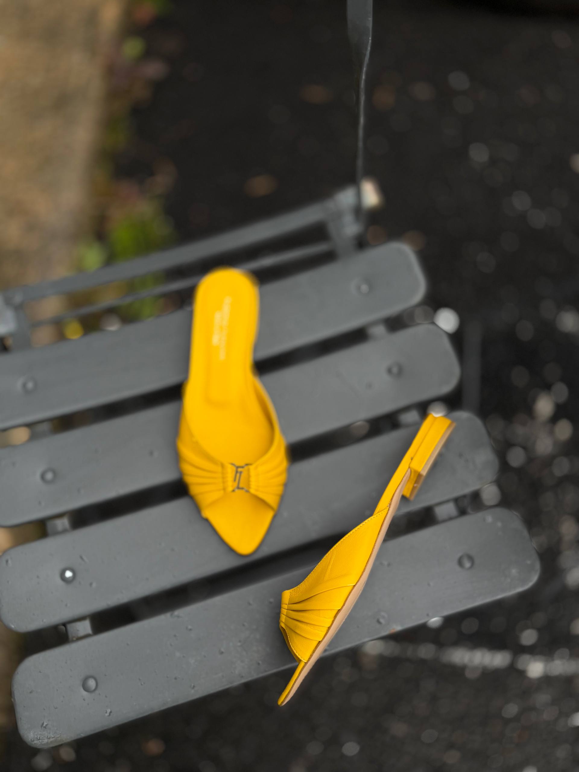 Фото Federica Lancioni