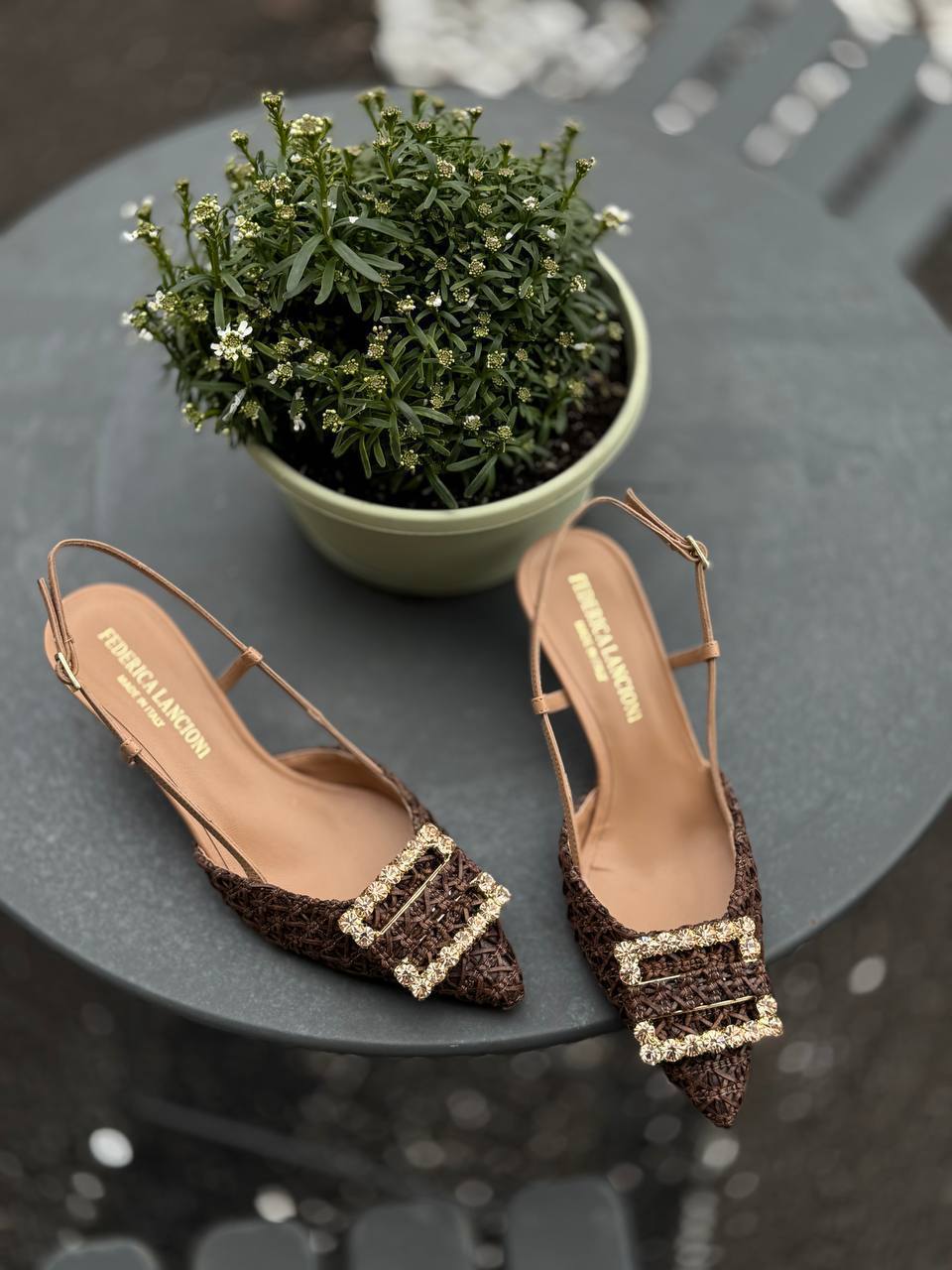 Фото Federica Lancioni