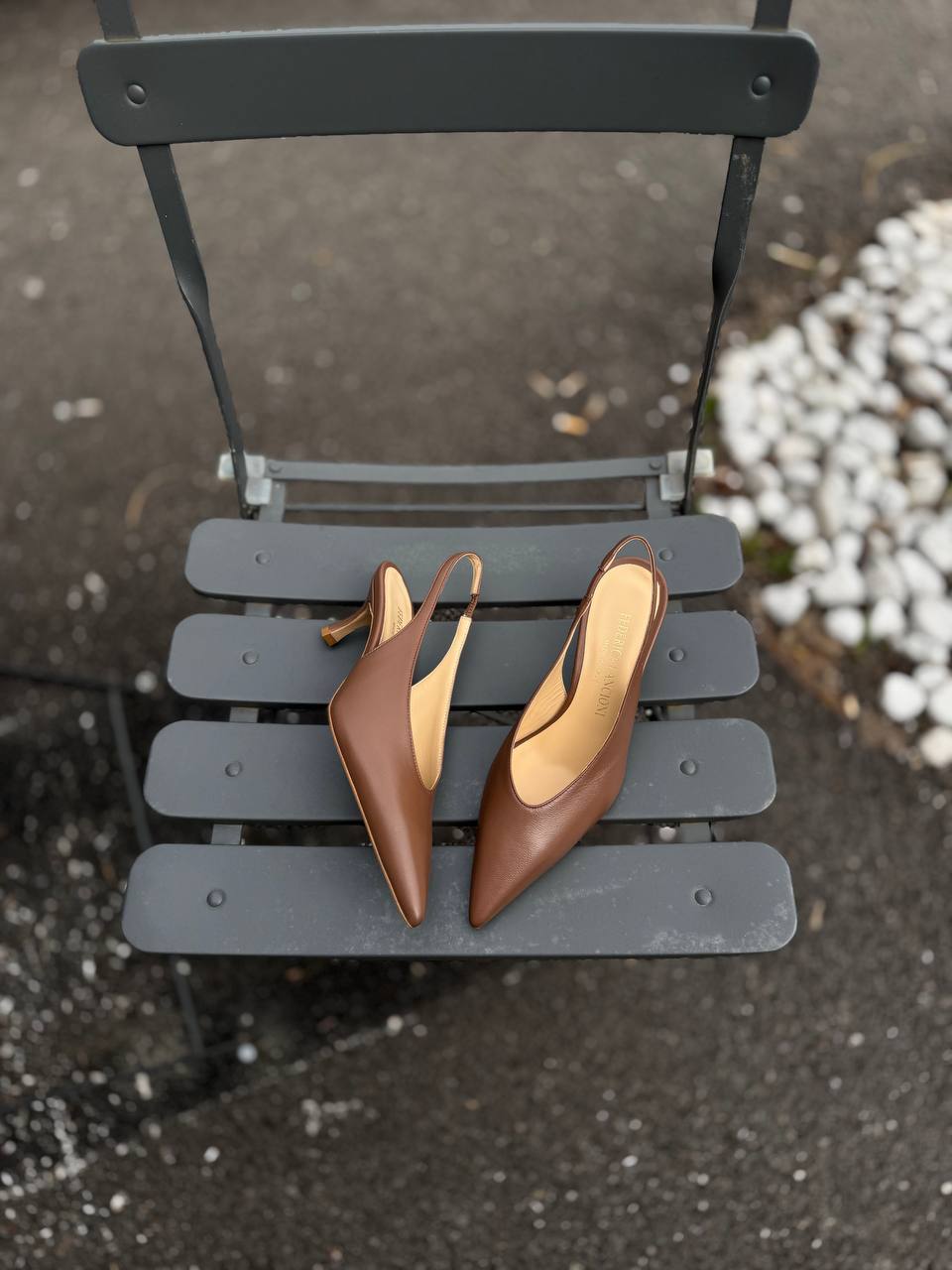 Фото Federica Lancioni