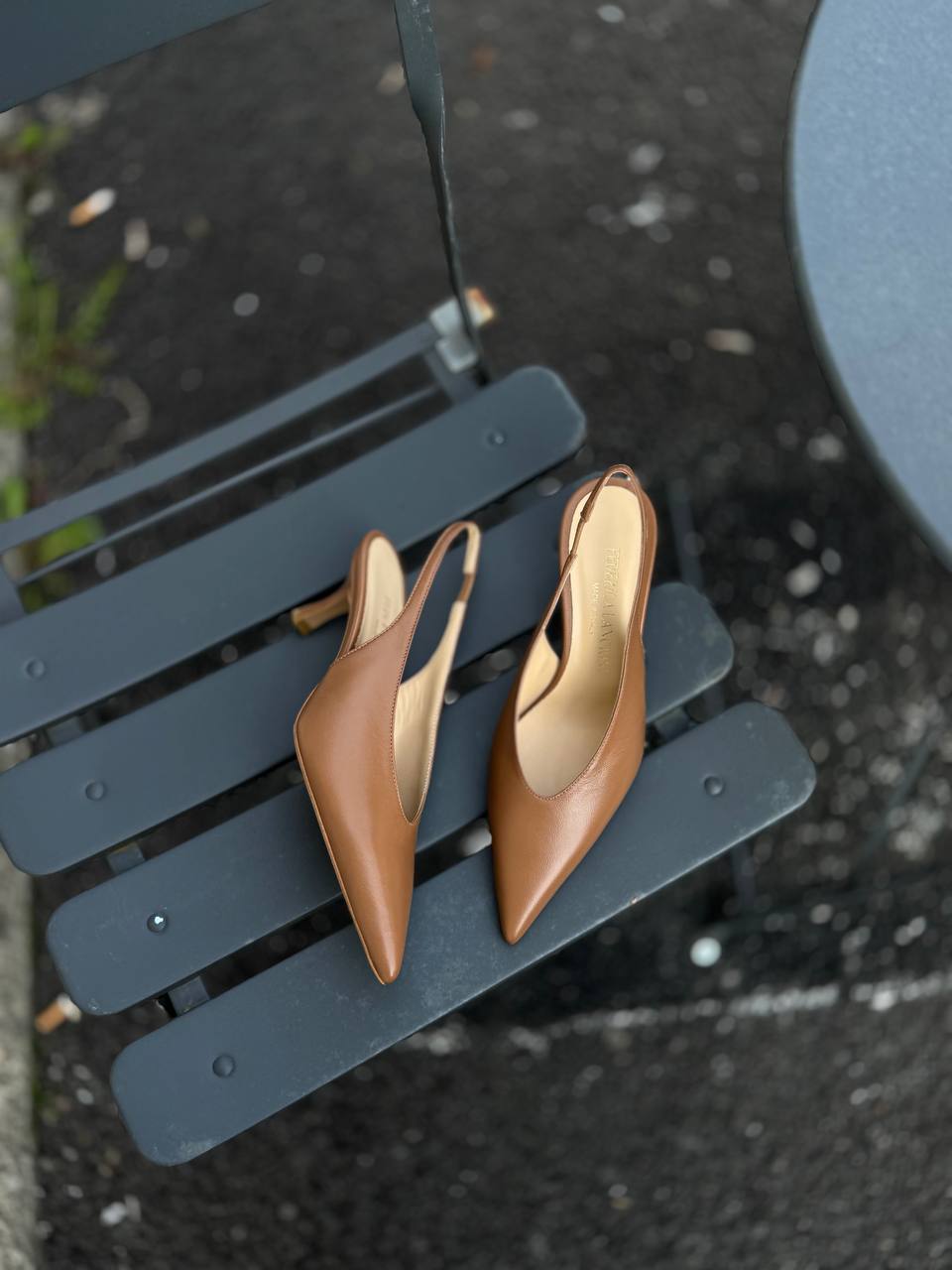 Фото Federica Lancioni