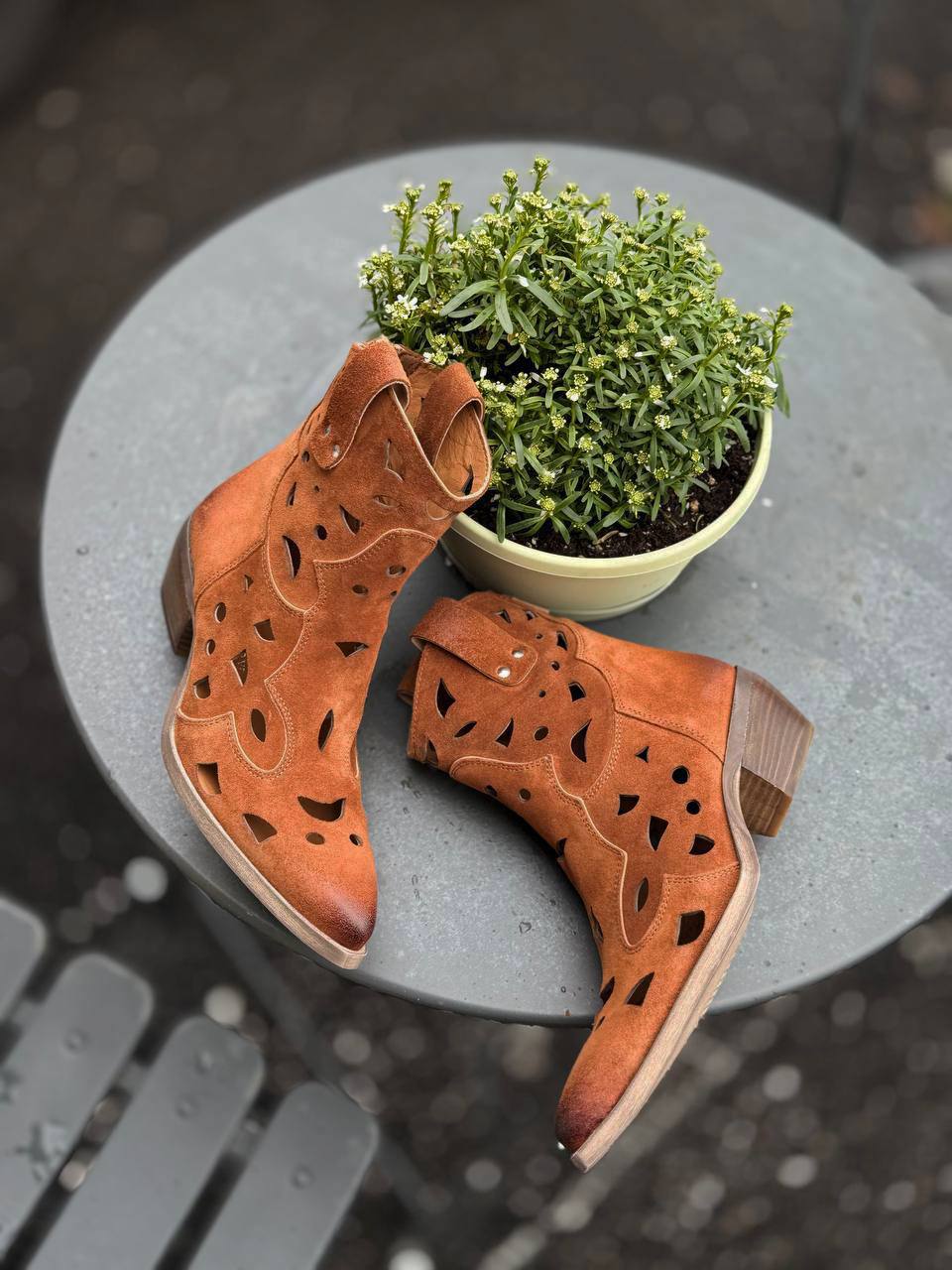 Фото Federica Lancioni