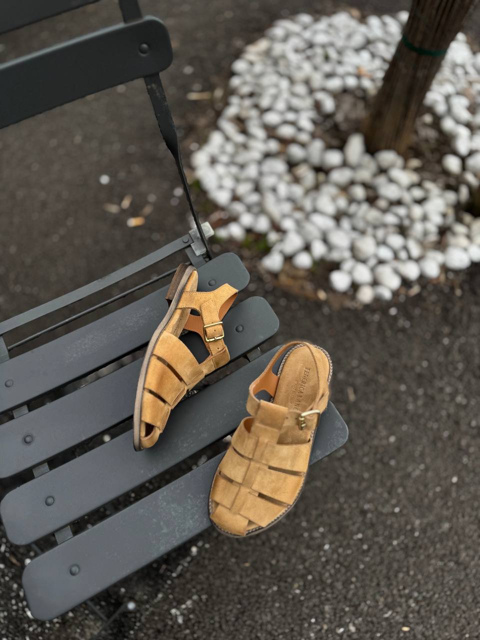 Фото Federica Lancioni