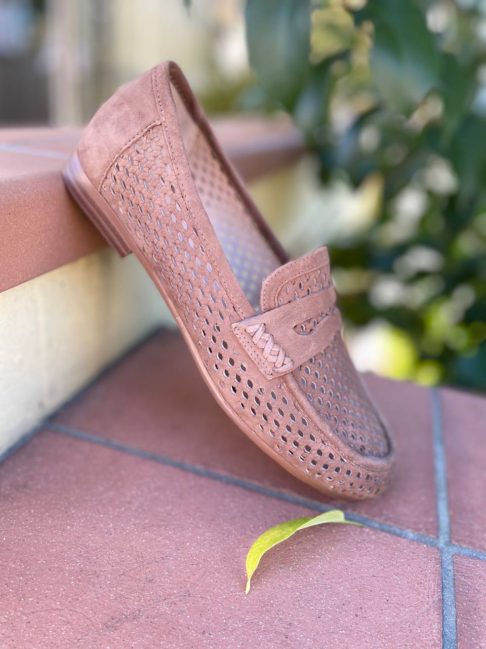 Фото Roberto Serpentini