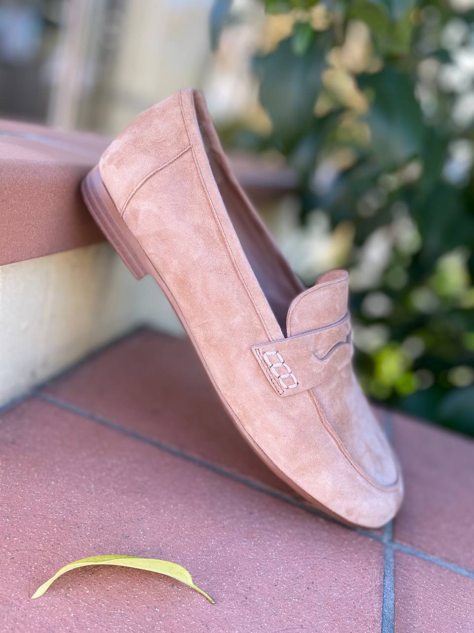 Фото Roberto Serpentini