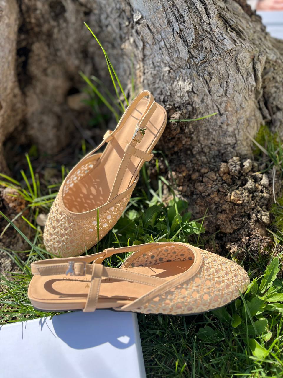 Фото Roberto Serpentini