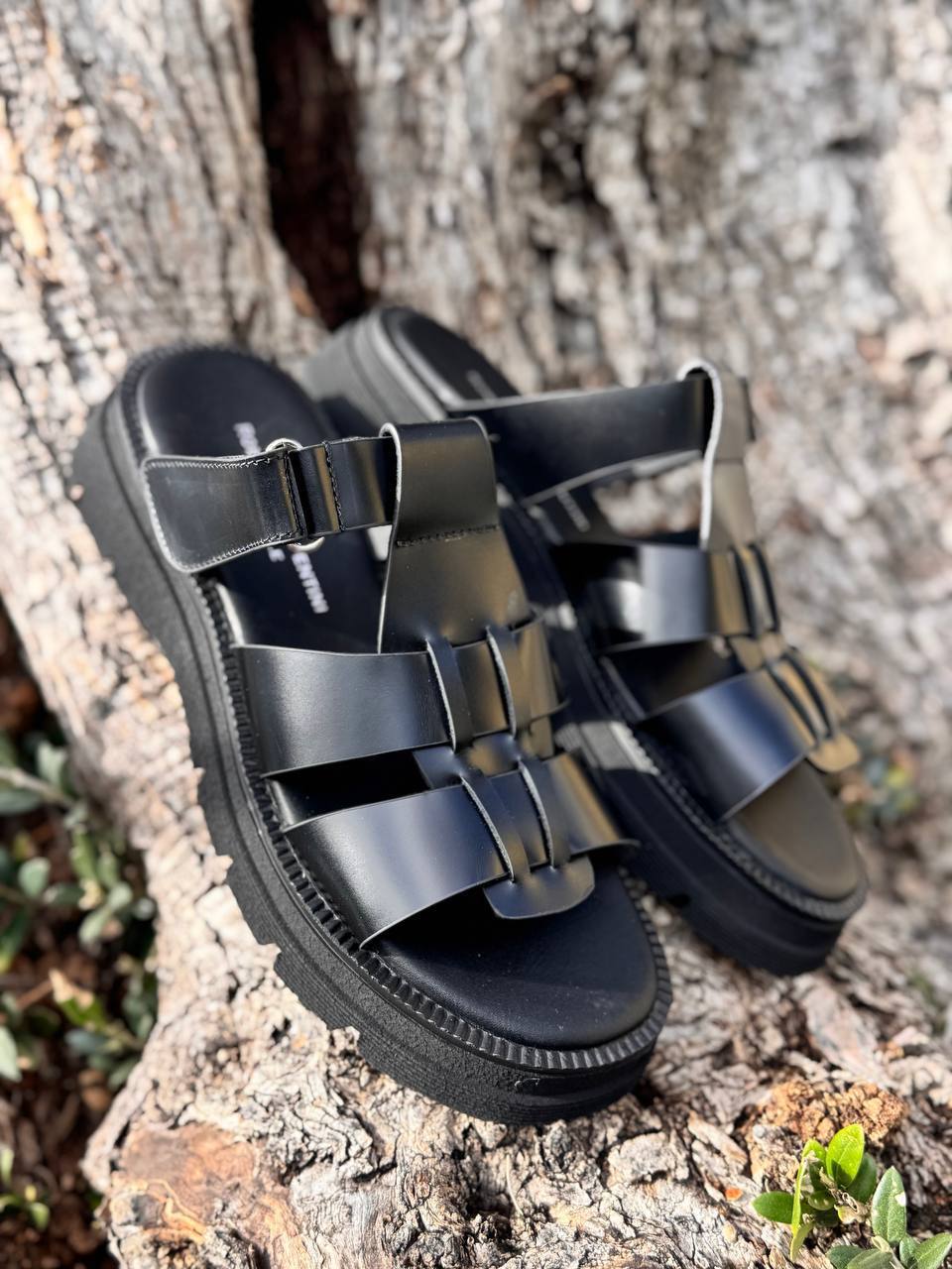 Фото Roberto Serpentini