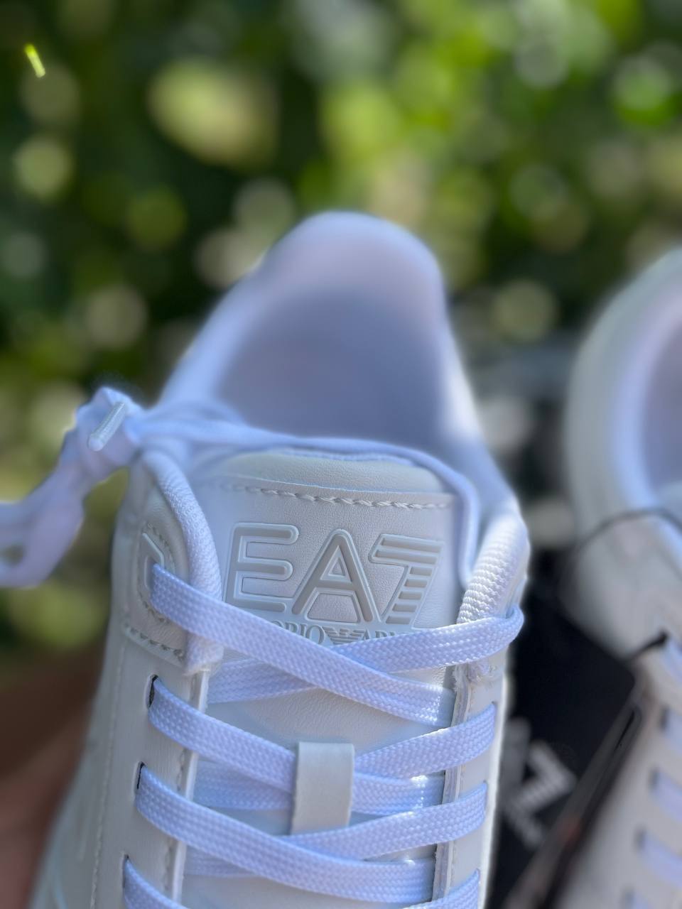 Фото Roberto Serpentini