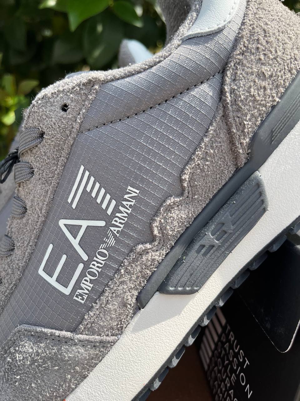 Фото Roberto Serpentini