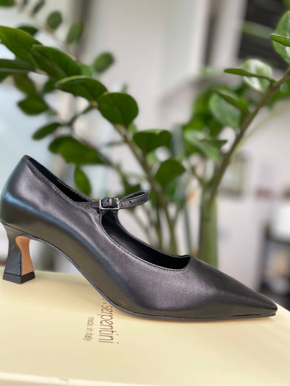 Фото Roberto Serpentini