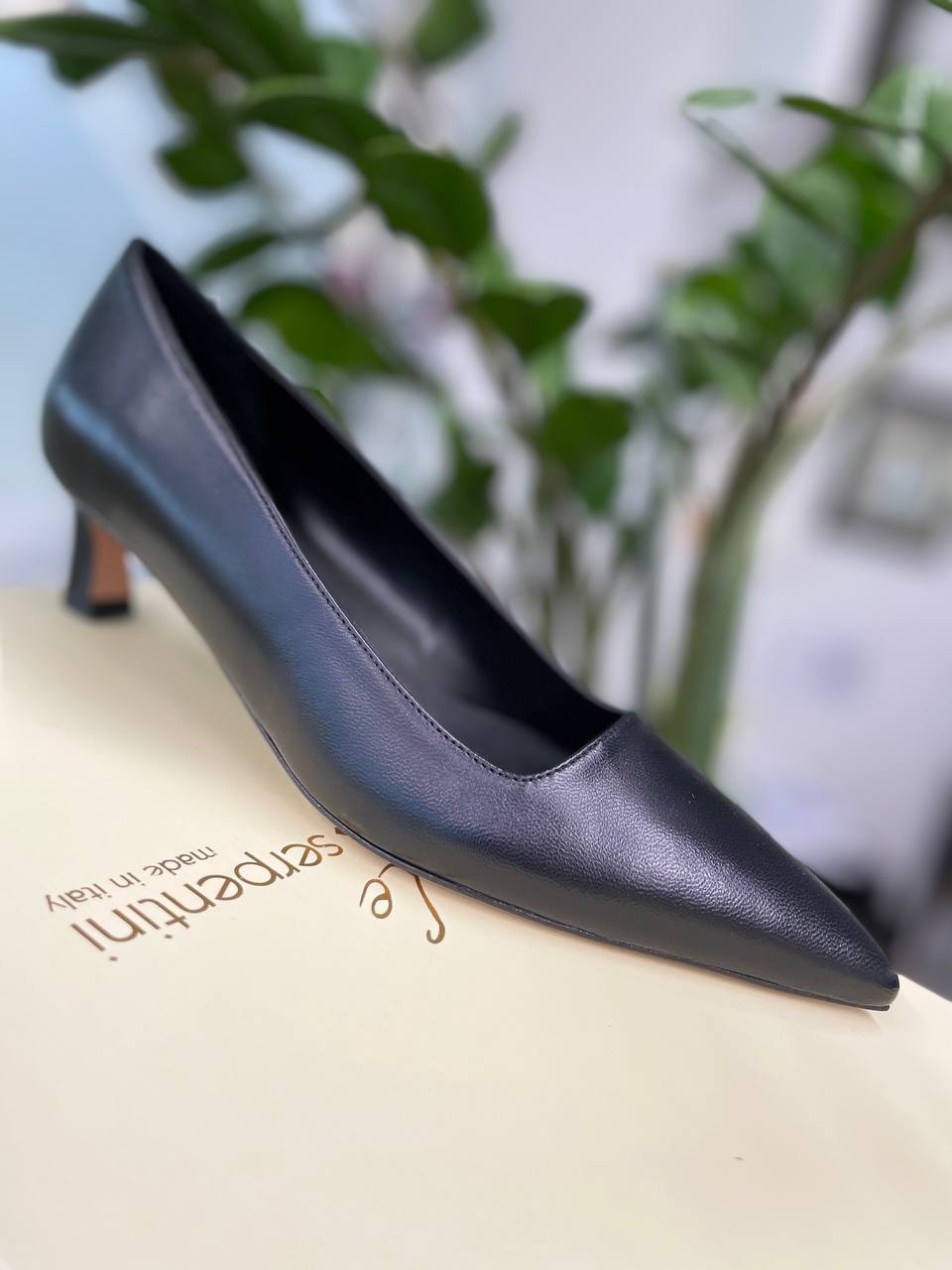 Фото Roberto Serpentini