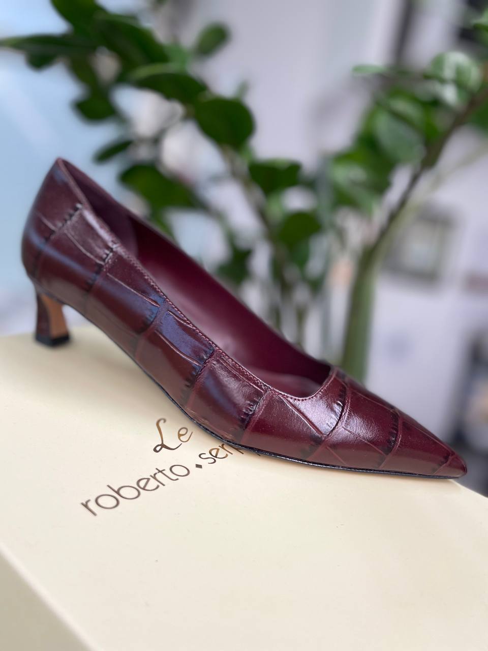 Фото Roberto Serpentini