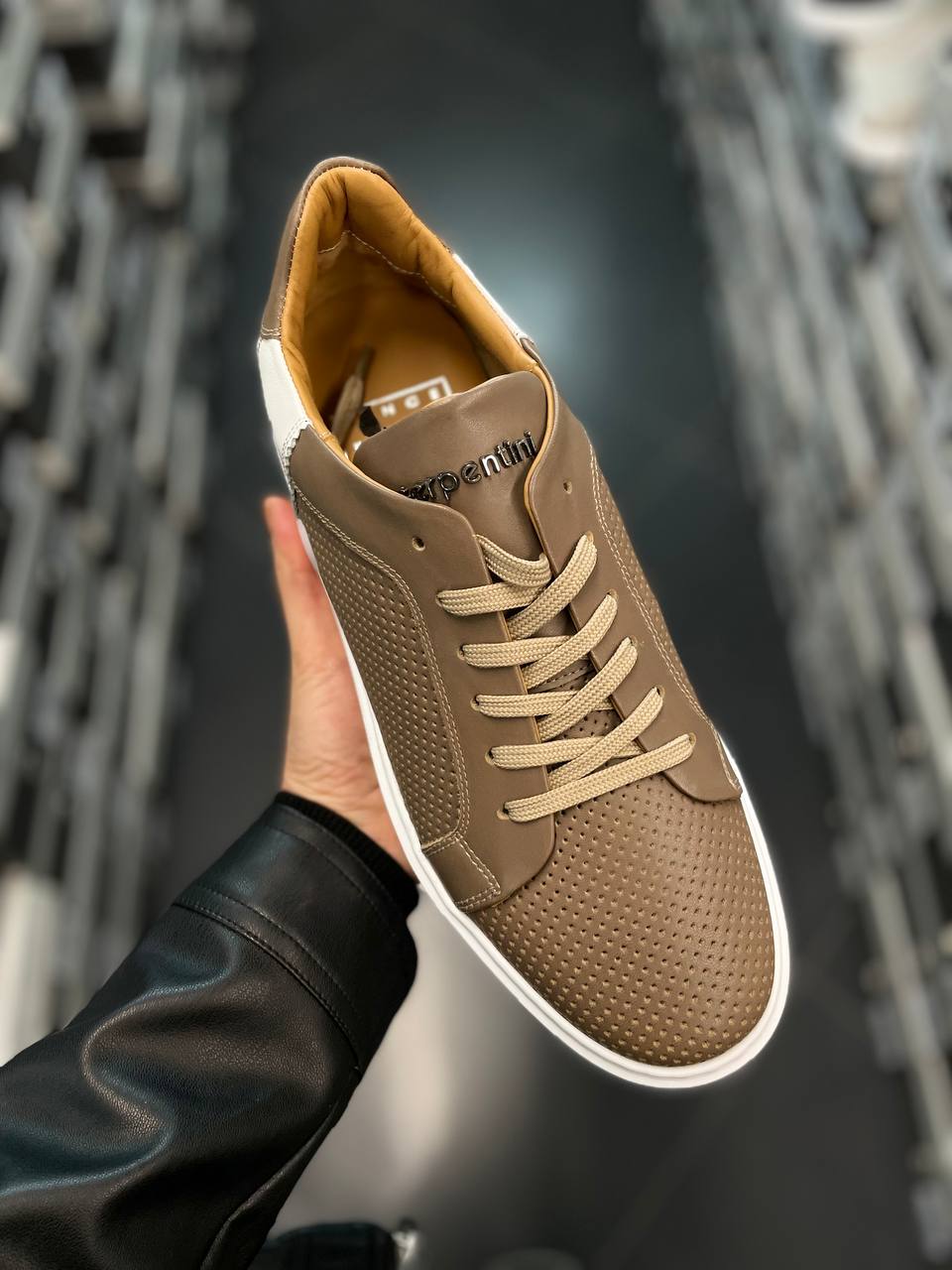 Фото Roberto Serpentini