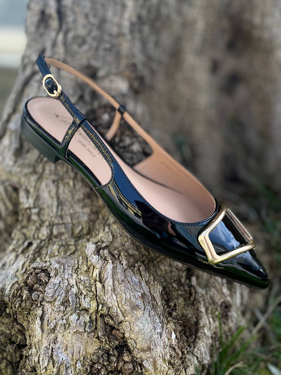 Фото Roberto Serpentini