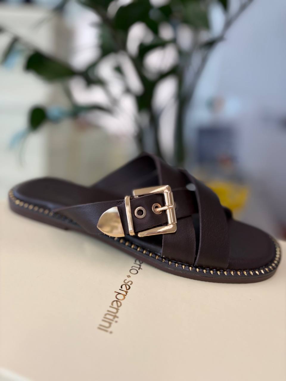 Фото Roberto Serpentini