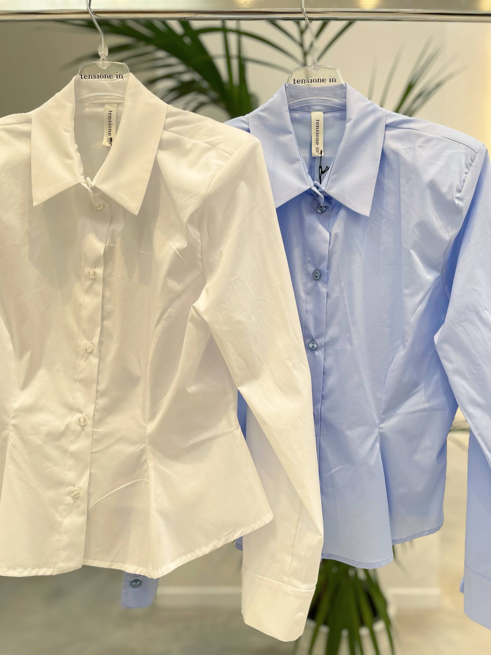 Фото Tensione in