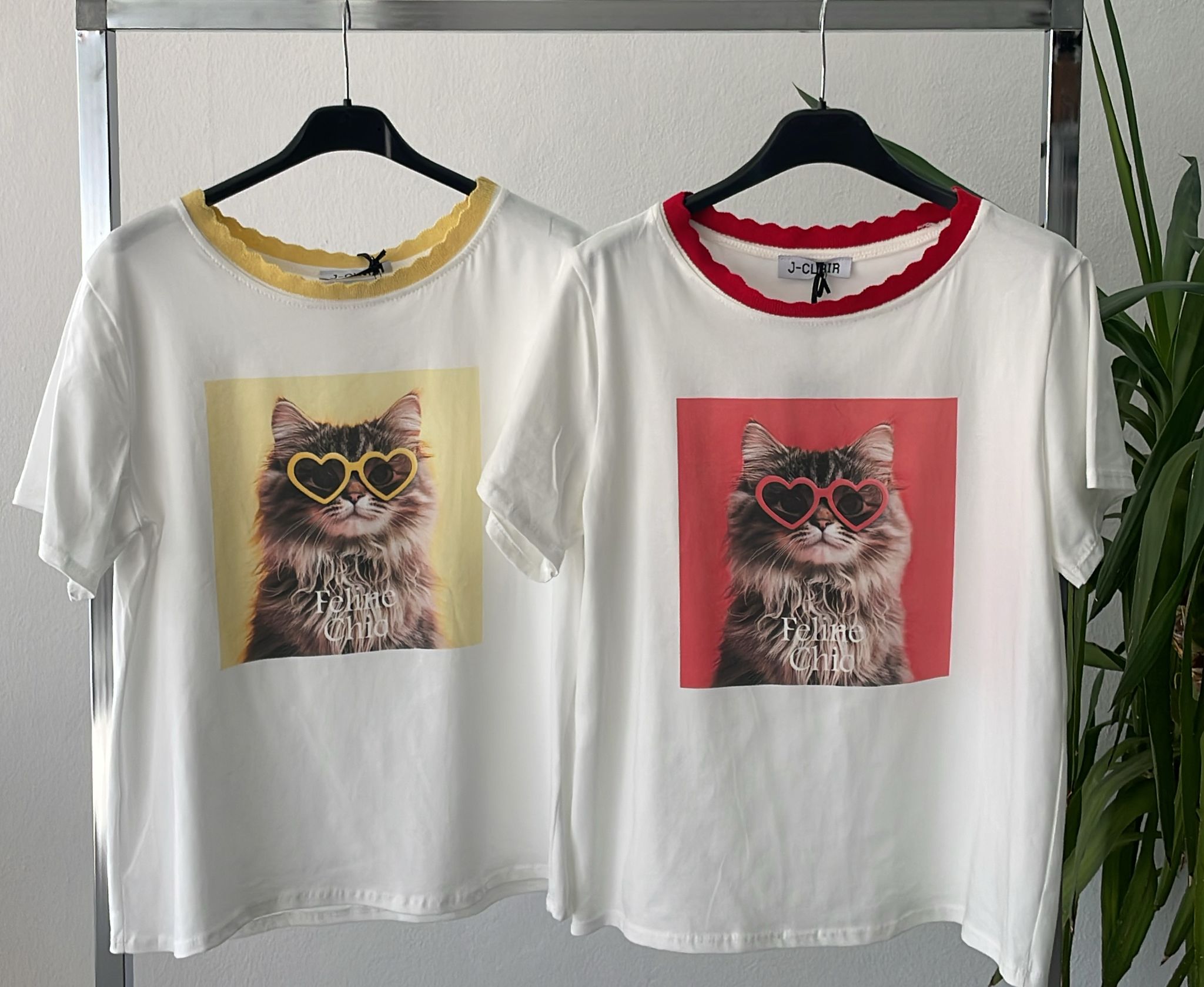 Фото Joie Clair (J-Clair)