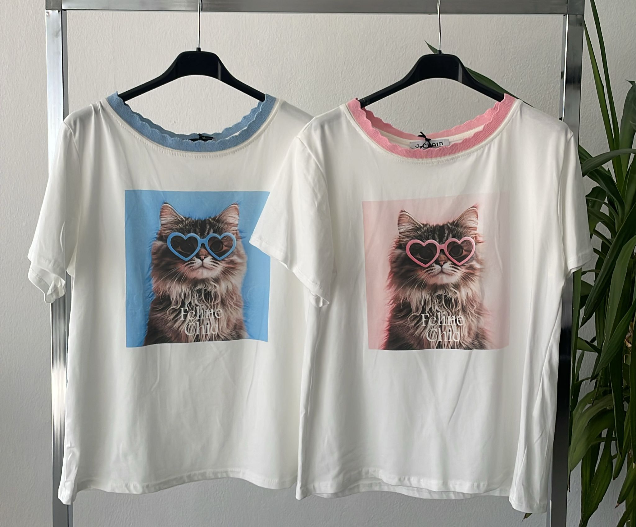 Фото Joie Clair (J-Clair)