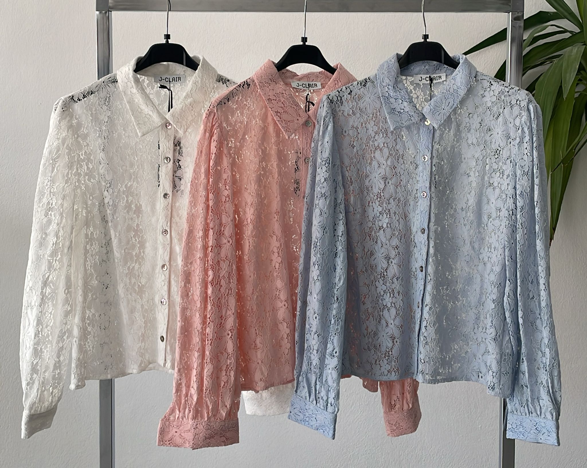 Фото Joie Clair (J-Clair)