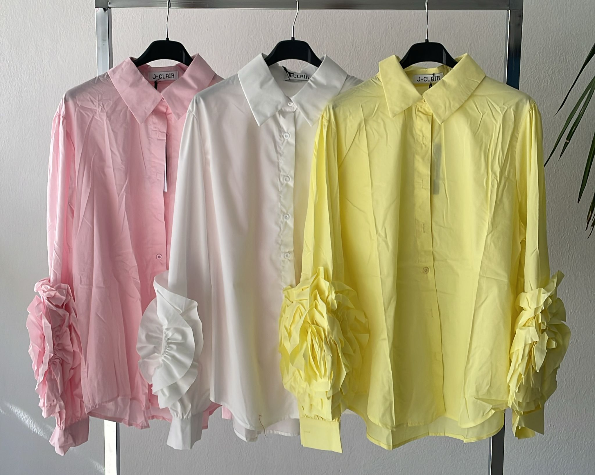 Фото Joie Clair (J-Clair)