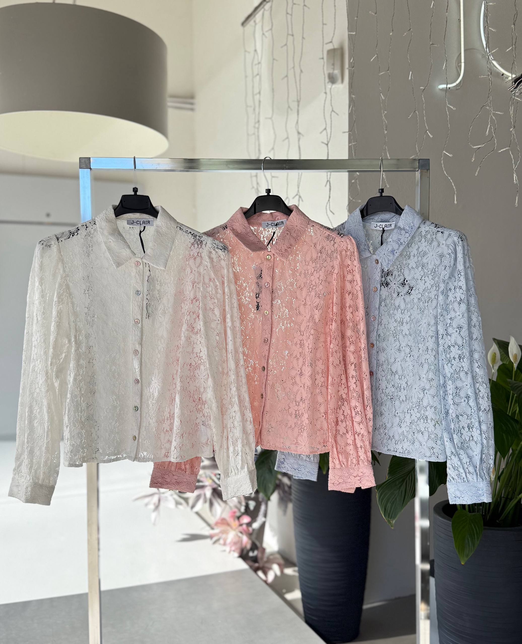 Фото Joie Clair (J-Clair)